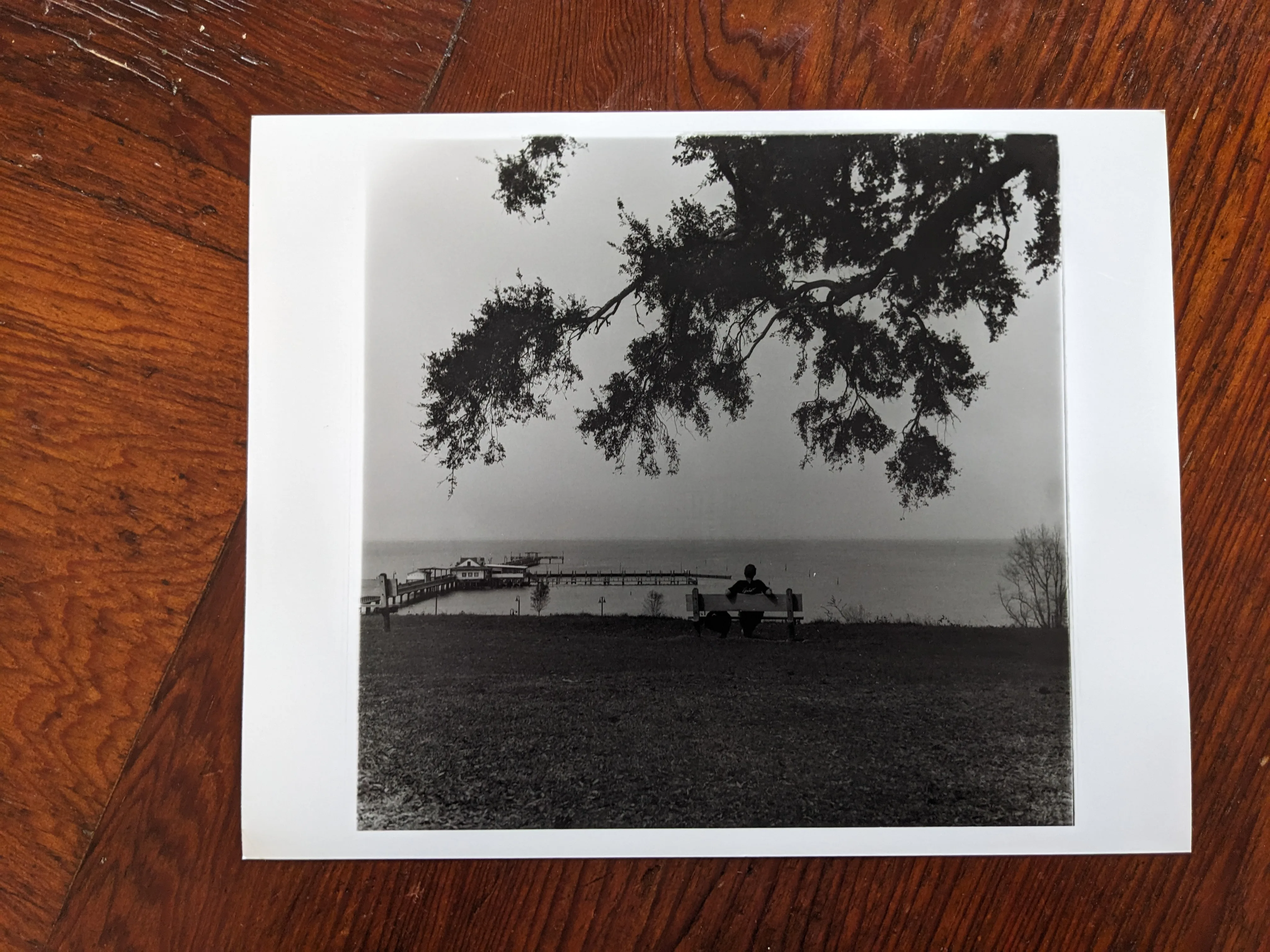 Mobile Bay, horizontal orientation